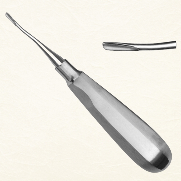DENTAL